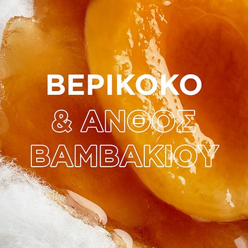 Apricot Shampoo Ingredient